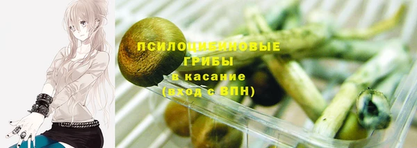 бутират Галич