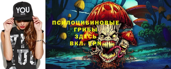 Альфа ПВП Беломорск