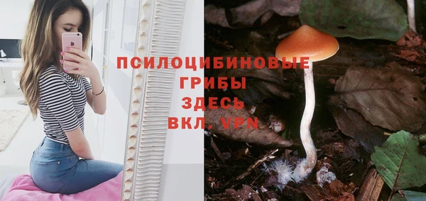 МДПВ Богородицк