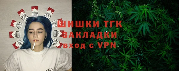 мдпв Богородск