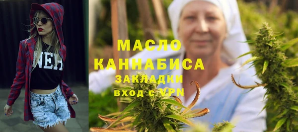 мдпв Богородск