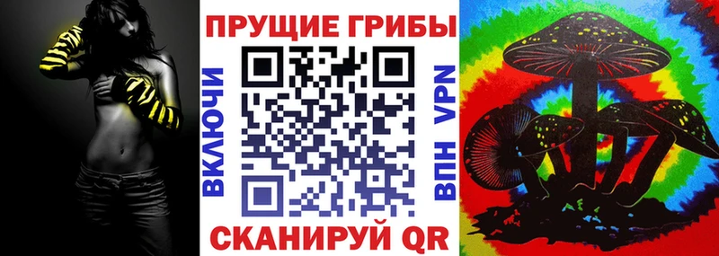 omg как зайти  Дагестанские Огни  Галлюциногенные грибы GOLDEN TEACHER 